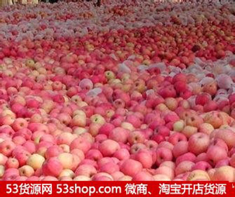 成都商贸公司的选购指南
